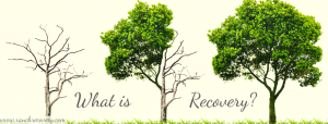 , Blog, Recovery Ranch Addiction Treatment and Rehabilitation Centre